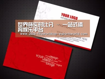 项目名称八