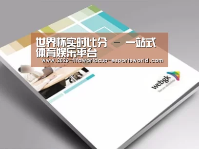 项目名称九