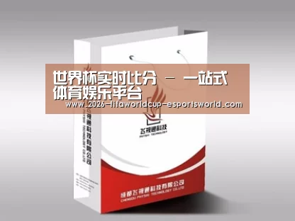 项目名称十三
