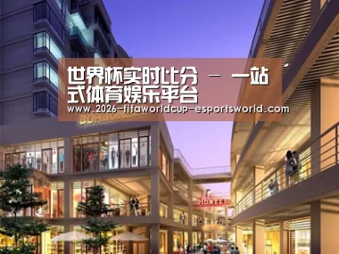 案例展示一