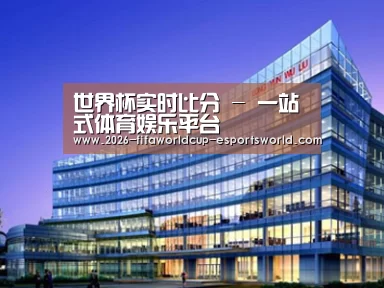 案例展示五