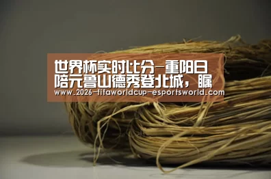 世界杯实时比分