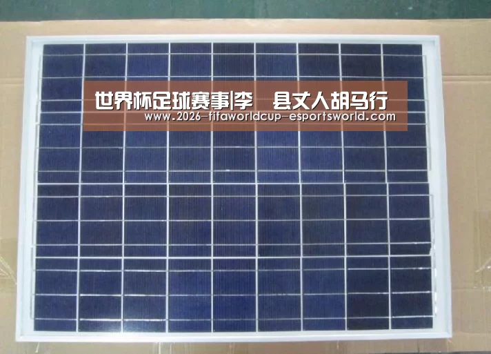 世界杯足球赛事|李鄠县丈人胡马行(图1) 世界杯实时比分