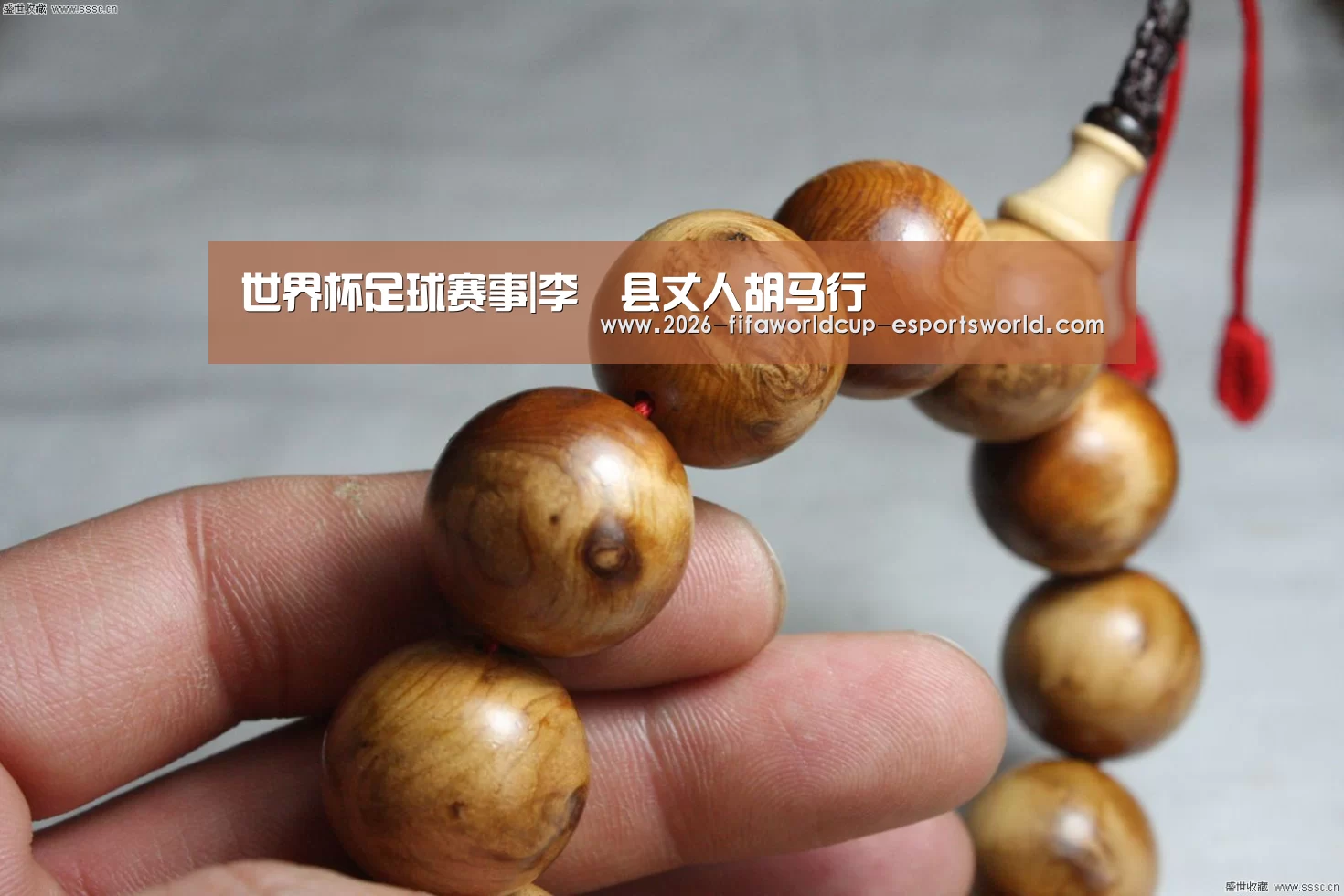 世界杯足球赛事|李鄠县丈人胡马行(图4) 世界杯实时比分
