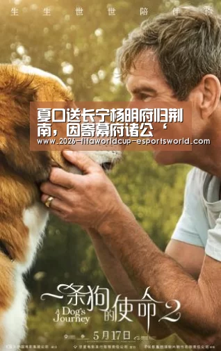  世界杯足球赛事