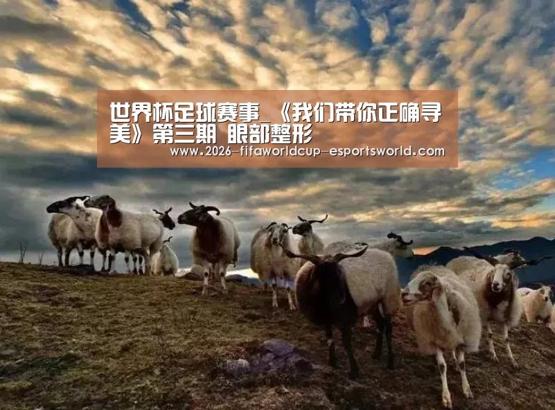  世界杯足球赛事