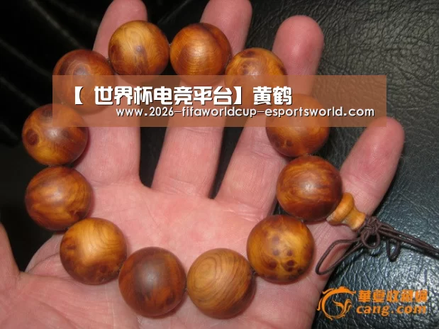 世界杯实时比分