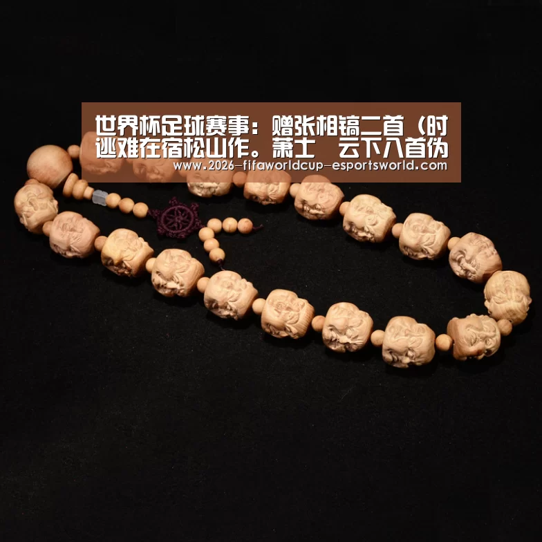 世界杯足球赛事:赠张相镐二首(时逃难在宿松山作。萧士赟云下八首伪)(图2) 世界杯足球赛事