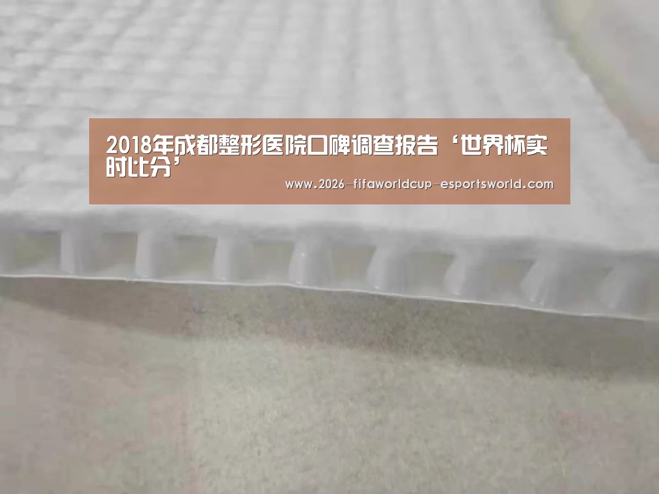 2018年成都整形医院口碑调查报告‘世界杯实时比分’(图1) 世界杯足球赛事