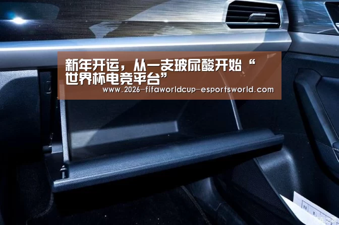  世界杯足球赛事