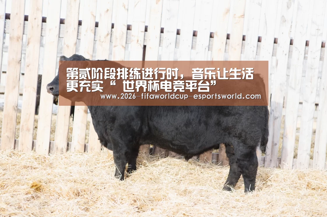 第贰阶段排练进行时,音乐让生活更充实“ 世界杯电竞平台”(图4) 世界杯实时比分