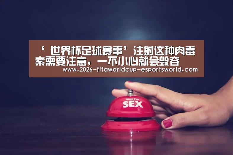  世界杯足球赛事