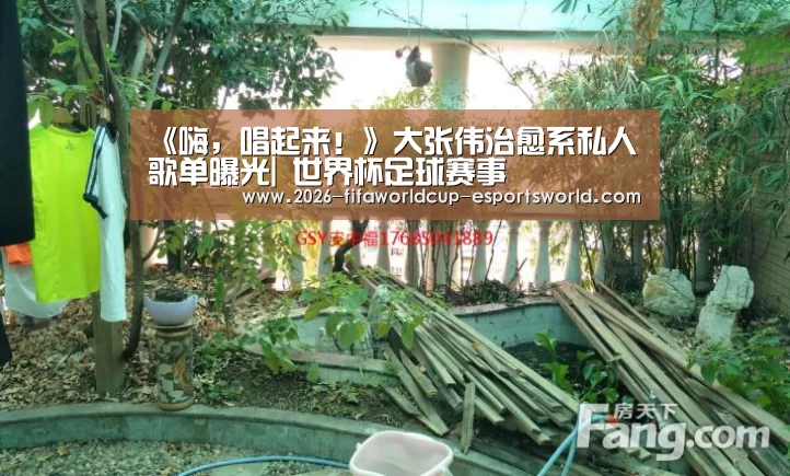 《嗨,唱起来!》大张伟治愈系私人歌单曝光| 世界杯足球赛事(图1) 世界杯实时比分